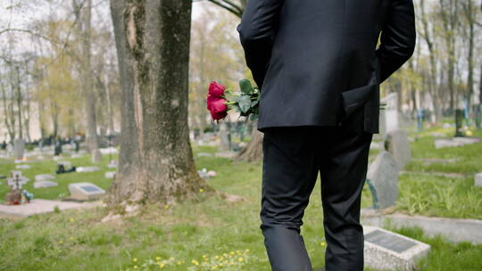 拿着红玫瑰走在墓地的男人背影