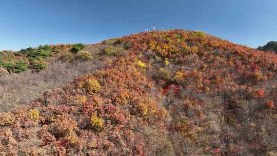 航拍千山红叶