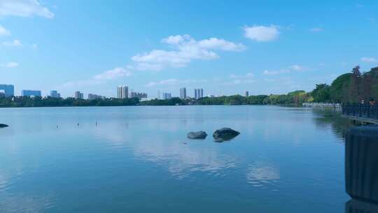 广州海珠湖公湖泊树林与城市高楼建筑景观