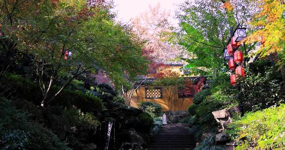 杭州永福寺红枫秋景