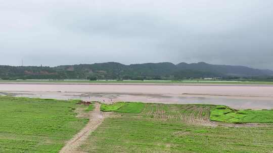 黄河流域