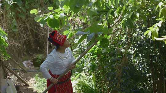 少数民族女子持棍于绿植间