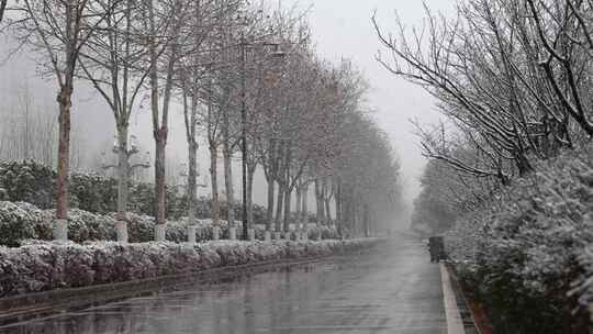 寒冷冬天公园里有行道树的道路雪景空境升格