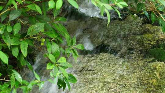 森林流水大自然小溪水瀑布山涧水源泉水山水视频素材模板下载