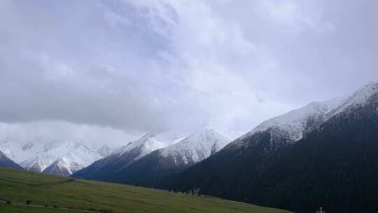 新疆夏塔森林公园的草原雪山森林绝美风光