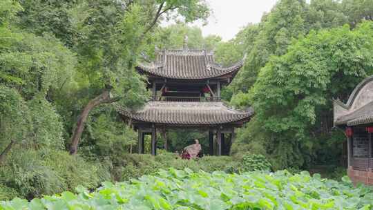 四川眉山三苏祠，苏轼苏东坡故里，中式园林