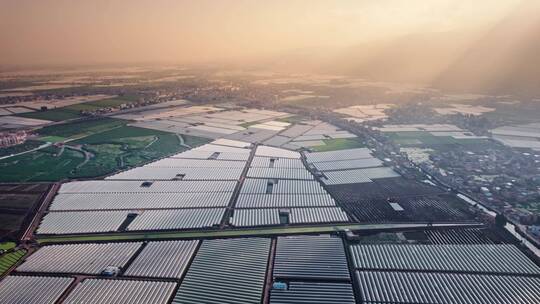 4k航拍云南蔬菜大棚种植基地 2