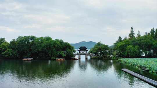 杭州西湖曲院风荷游船