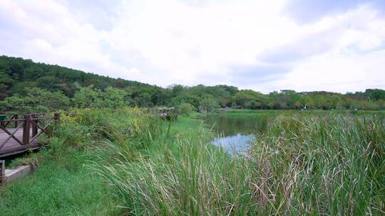 武汉江夏区藏龙岛国家湿地公园4K视频合集