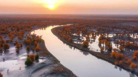新疆塔里木盆地塔里木河
