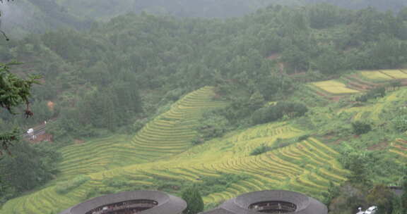 福建田螺坑土楼