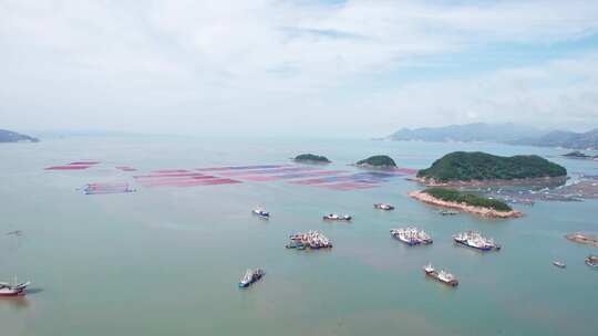 福建宁德霞浦花竹村渔港风景航拍