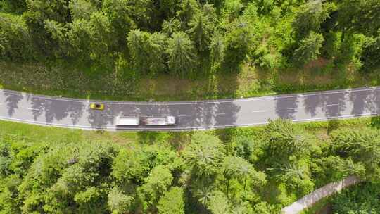 汽车在穿过绿色森林地区的双向道路上行驶