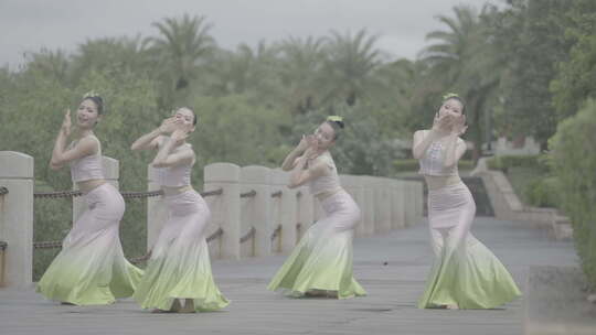 女生户外傣族舞群舞民族舞3slog3灰片视频素材模板下载