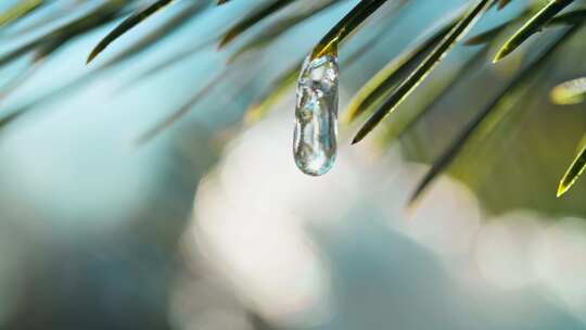 雪融化成水滴