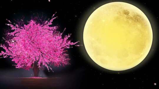 唯美中秋月亮樱花树背景