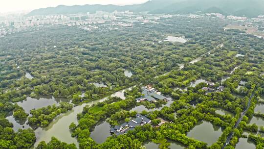 航拍西溪湿地热气球