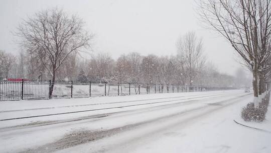 冬季下雪的马路行驶的车辆