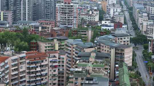 鸽子在城里飞翔大远景大全景