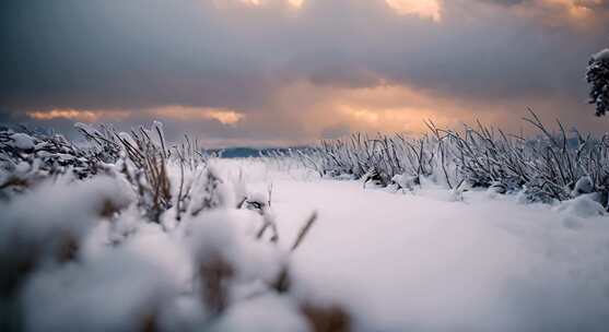 冬天雪地特写雪天风景下雪风光唯美冬季雪景