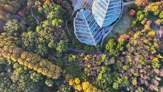 江苏南京灵山风景区前湖秋天秋色航拍