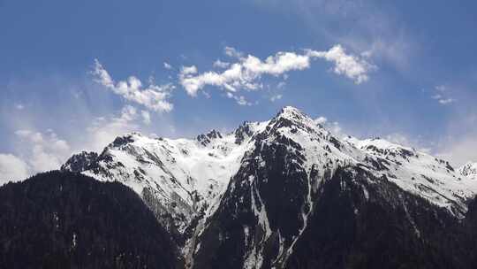 春天森林山顶的无树雪山