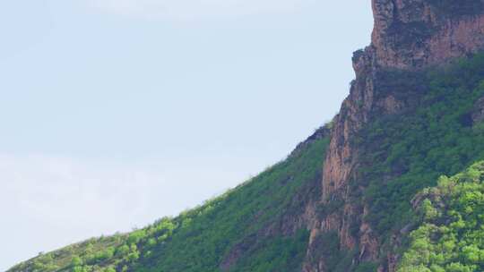 远处的高山巨石与绿植特写视频