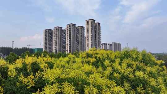 城市天际线楼房居住生态环境河流天空