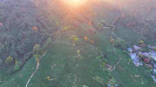 夕阳西下大山森林唯美航拍风景大自然风光杭