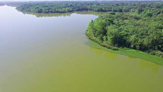 成都青龙湖湿地公园清晨白昼航拍