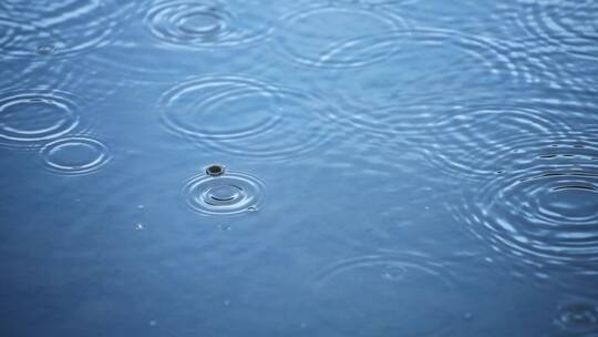 雨水滴在池塘里