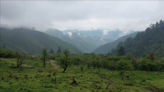 原始山区