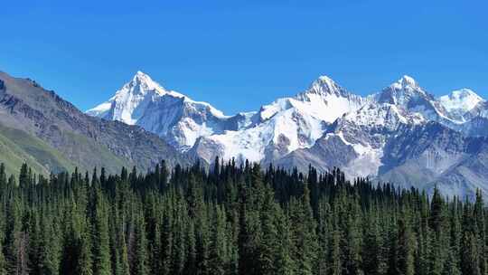 新疆昭苏夏塔雪山