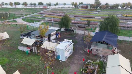 户外露营场地鸟瞰