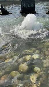 济南百脉泉景区，名泉水喷涌势头强劲