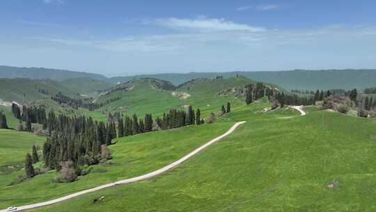 蜿蜒在恰西草原的山间道路 新疆伊犁美景