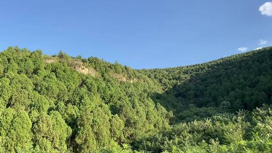 济南龙洞风景区，粉黛乱子草花海秋景迷人