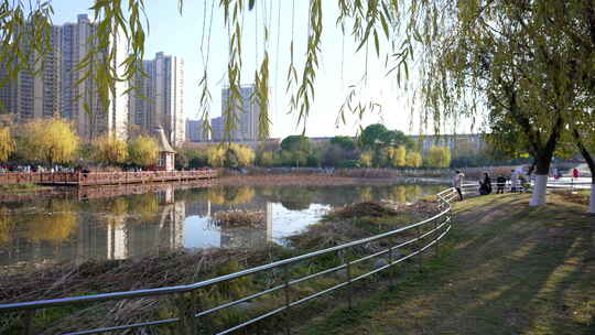 武汉洪山区关山荷兰风情园风景