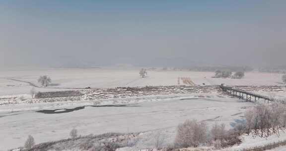 冬日雾霭笼罩下的广阔雪地景象