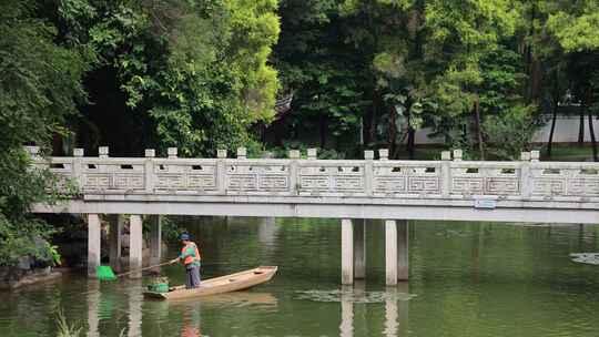 湖面水质清理，湖面垃圾清理