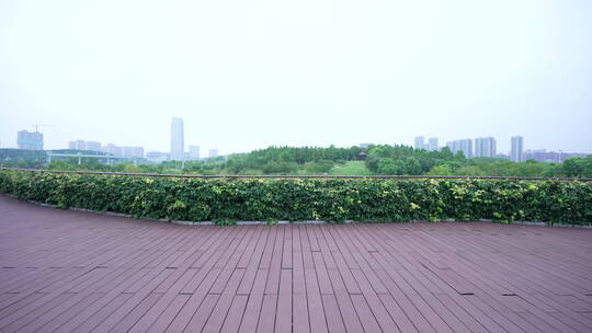 武汉光谷西苑公园风景