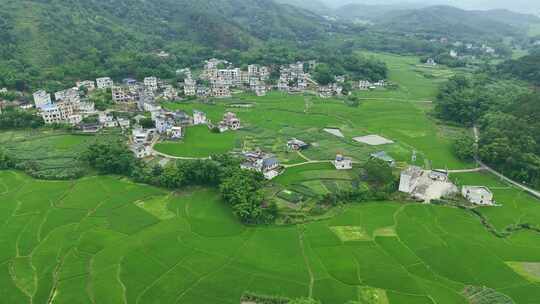 绿色田野乡村风光小村落农业农田