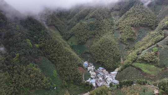 黄山茶山云雾黄山猴坑村风貌