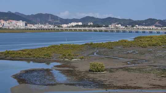 惠州市盐洲海洋湿地公园-红树林航拍