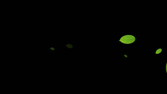绿叶漂浮视频