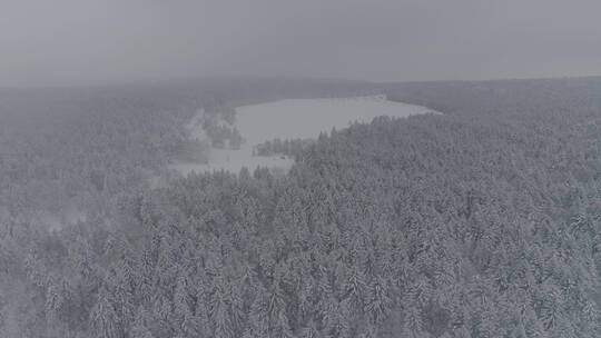 冬季长白山原始森林老里克湖童话雪景