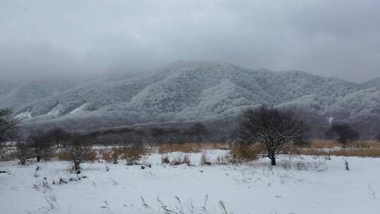 航拍湖北神农架大九湖冬季冰雪风光雪景