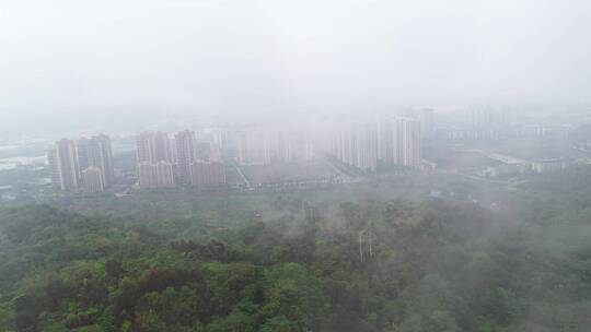 城市与雾气的融合