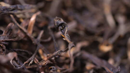 茶馆 泡茶 茶业 养生 茶道 茶