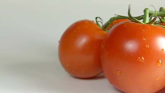 新鲜番茄水果